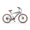 2019 New Model Road Electric Bike mit Bafang Hub 750W Motor